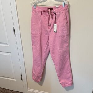 Judy Blue Women’s High Waist Pink Denim Joggers / Size 13/31 / Brand NWT